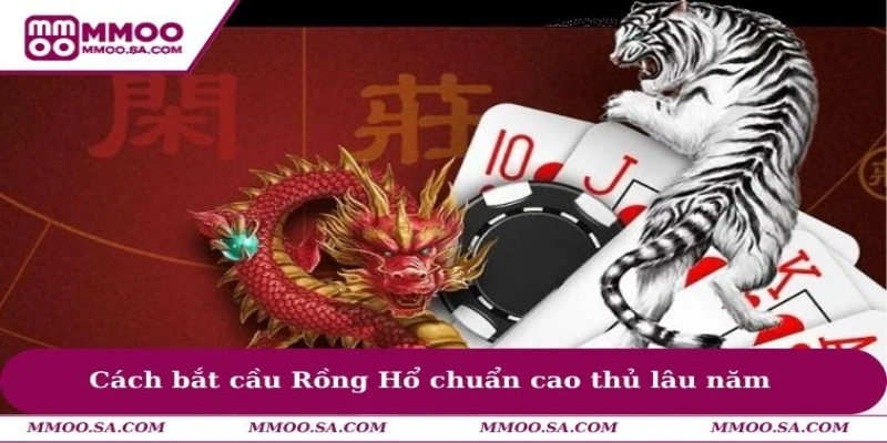 Cách bắt cầu Rồng Hổ chuẩn cao thủ lâu năm