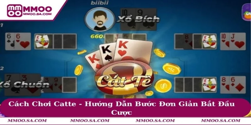 Cách Chơi Catte - Hướng Dẫn Bước Đơn Giản Bắt Đầu Cược