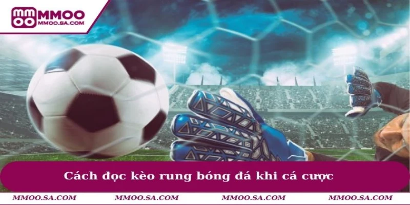 Cách Đọc Kèo Rung Bóng Đá Online Chuẩn Xác Từ Cao Thủ 2 Cách đọc kèo rung bóng đá khi cá cược