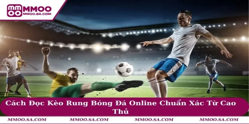 Cách Đọc Kèo Rung Bóng Đá Online Chuẩn Xác Từ Cao Thủ
