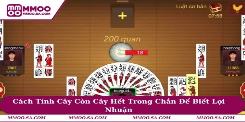 Cách Tính Cây Còn Cây Hết Trong Chắn Để Biết Lợi Nhuận