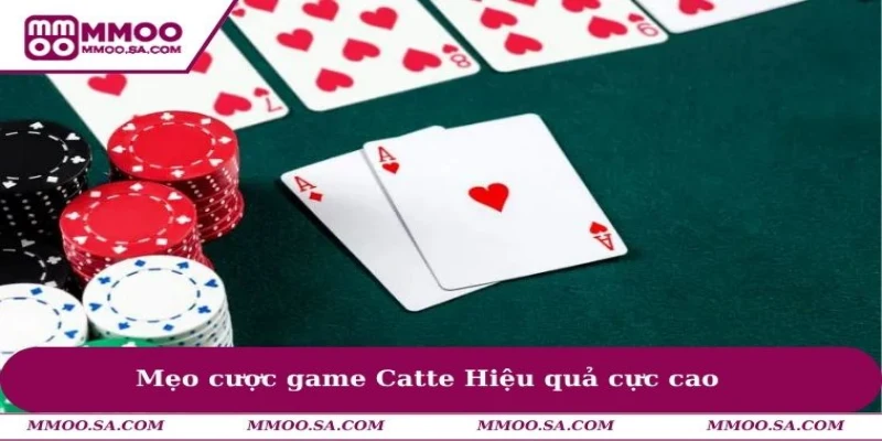Mẹo cược game Catte hiệu quả cực cao