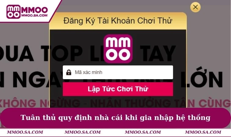 Tuân thủ quy định nhà cái khi gia nhập hệ thống